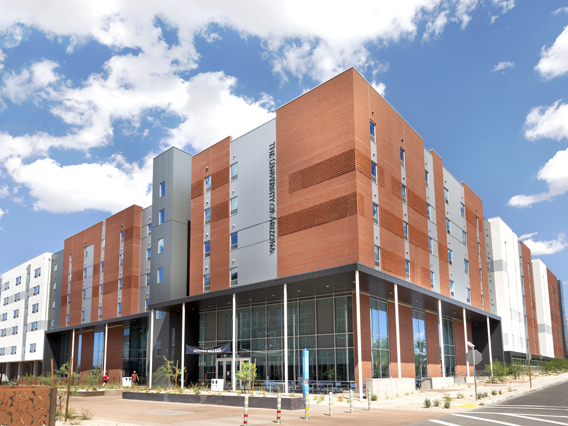 HOW TO APPLY TO THE UNIVERSITY OF ARIZONA HONORS COLLEGE visual data 4