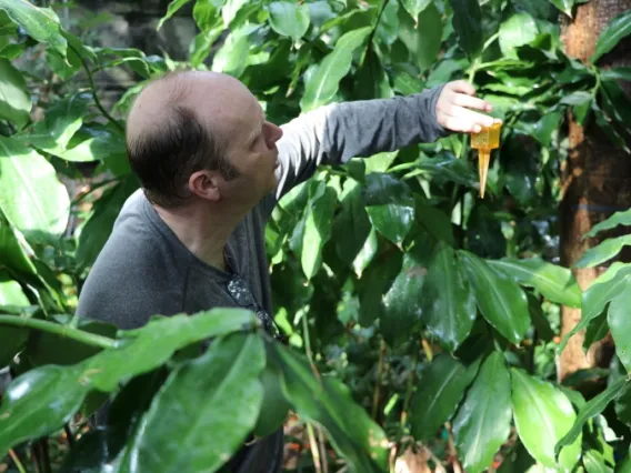 Dr. Joost van Haren in the biosphere 2