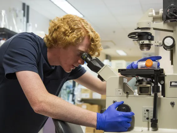 man looking through microscope in lab