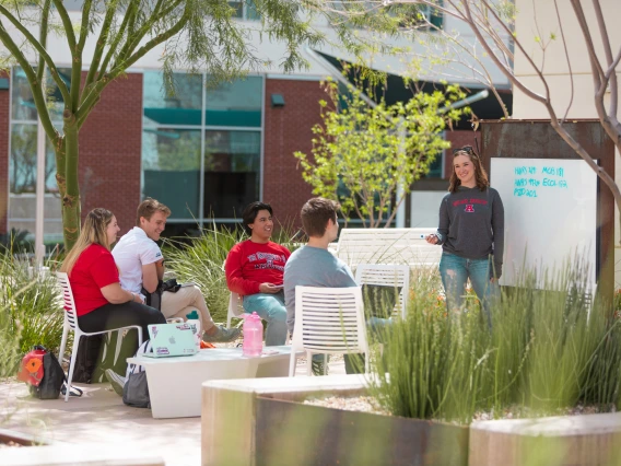 Students studying in the Honors Village Courtyard