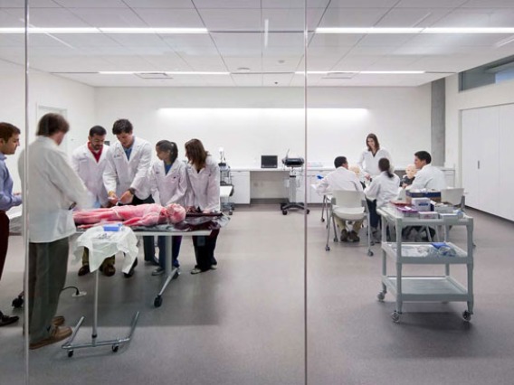 Medical students working in the lab