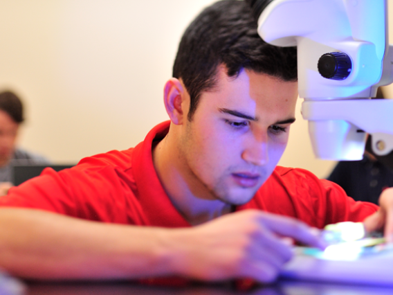 Male student working with a microscope