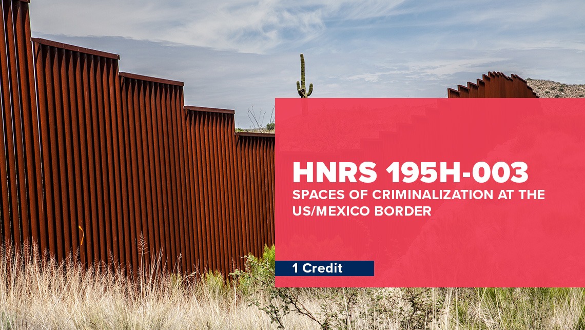 Mexican/US Border Wall 