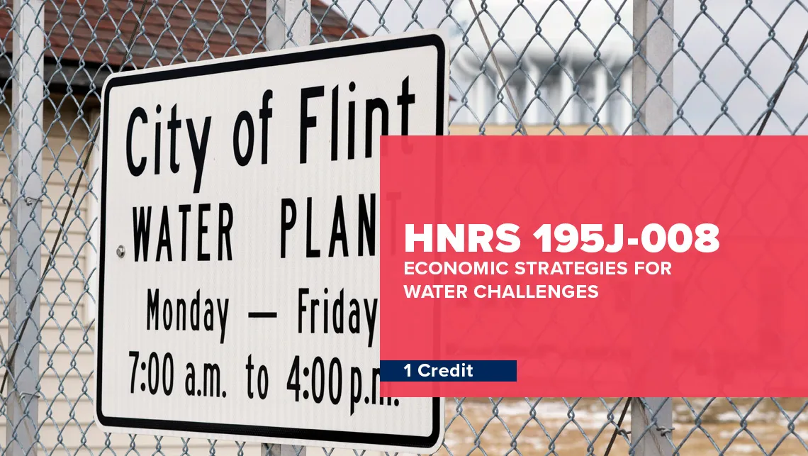 Flint Water Crisis