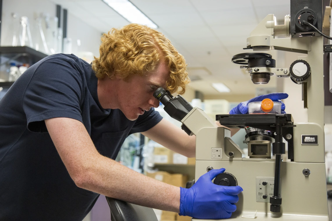 man looking through microscope in lab