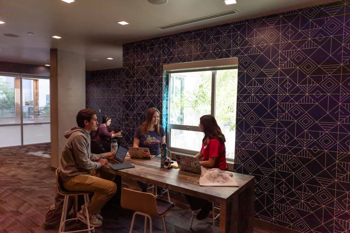 Students in one of the Honors dorm study rooms.