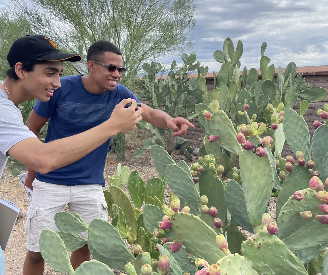 Two students examine a cactus during the problems to possibilities course. 