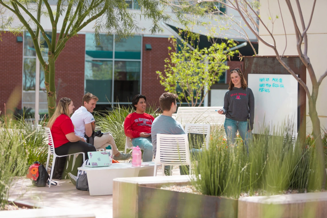 Students studying in the Honors Village Courtyard