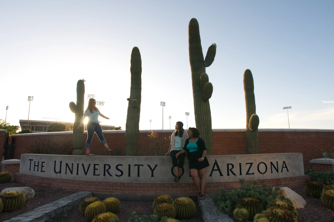 Students on stone UA sign at Campbell & 6th St.