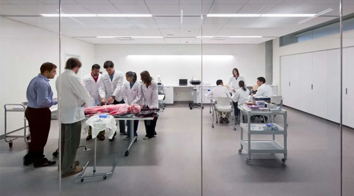 Medical students working in the lab