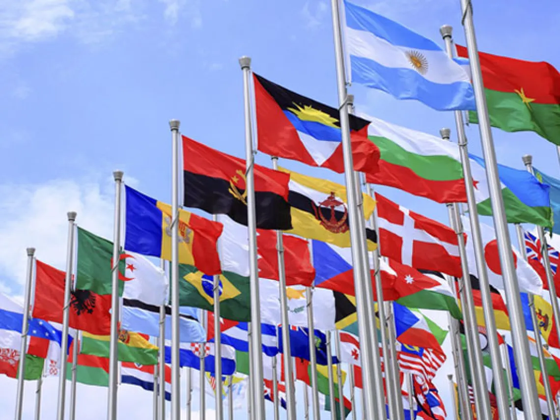 International flags