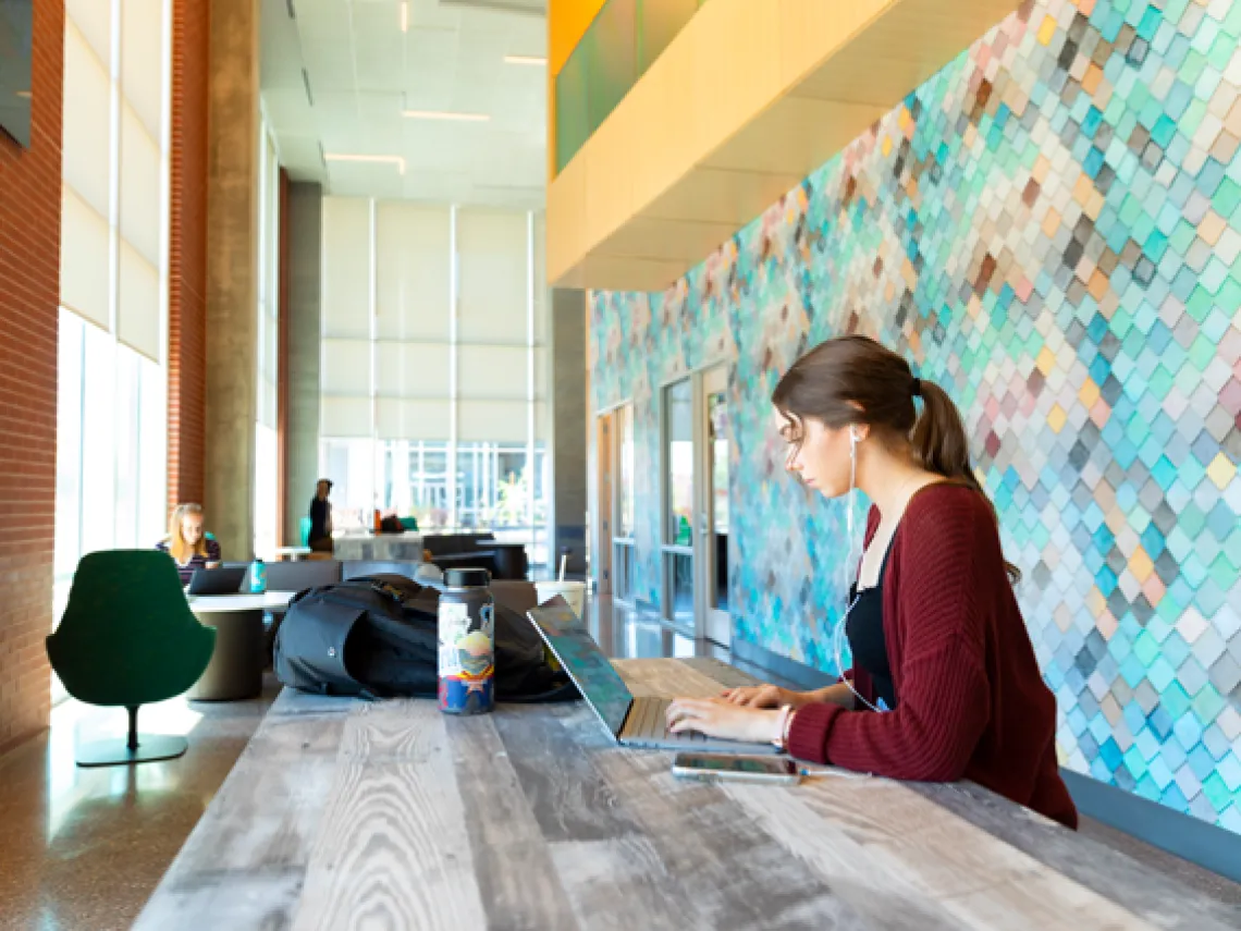 Student using laptop