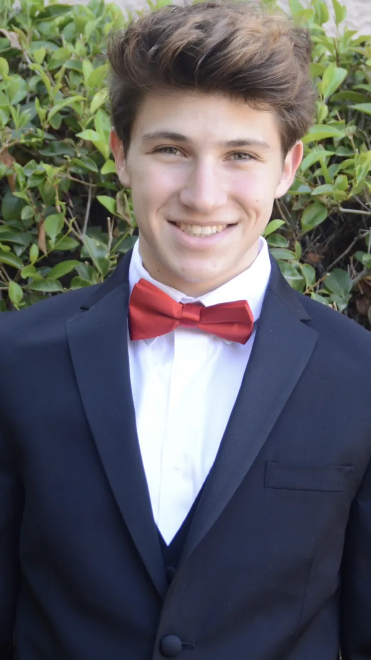 man wearing suit and red bowtie in front of green leaf background