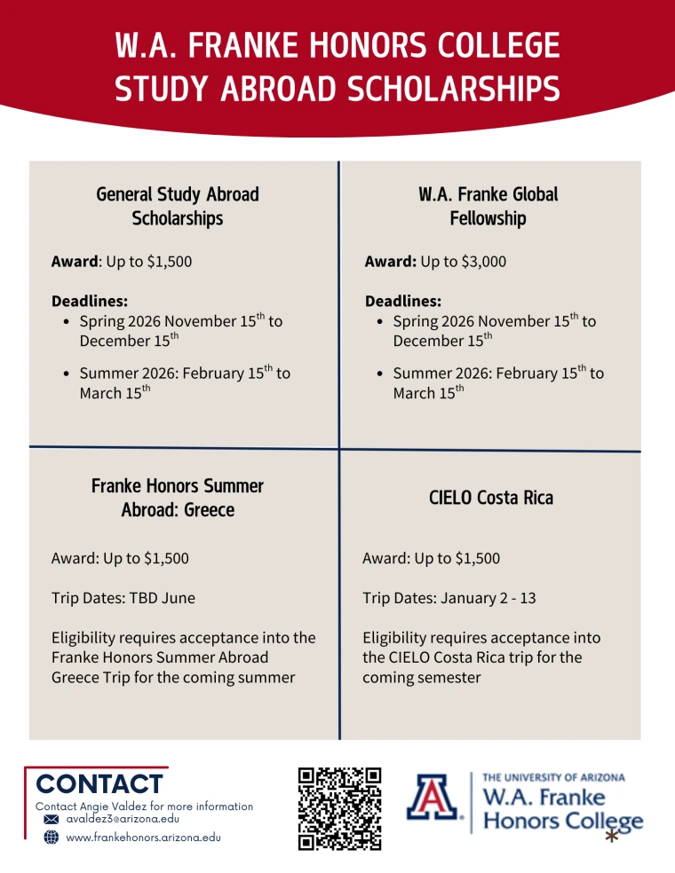 Visual breakdown of study abroad scholarship options