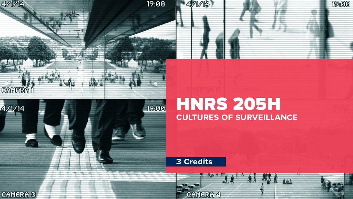 Surveillance camera images