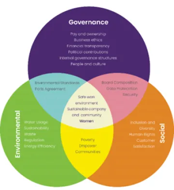 Diagram of ESG intersections made by the students