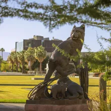 statue of wildcat with university background