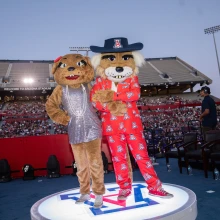 Formal Wilbur and Wilma