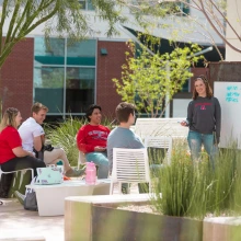 Students studying in the Honors Village Courtyard