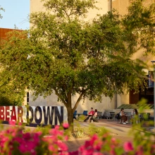 Bear Down in front of the library.
