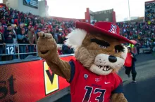 wilbur the wildcat in the arizona football stadium